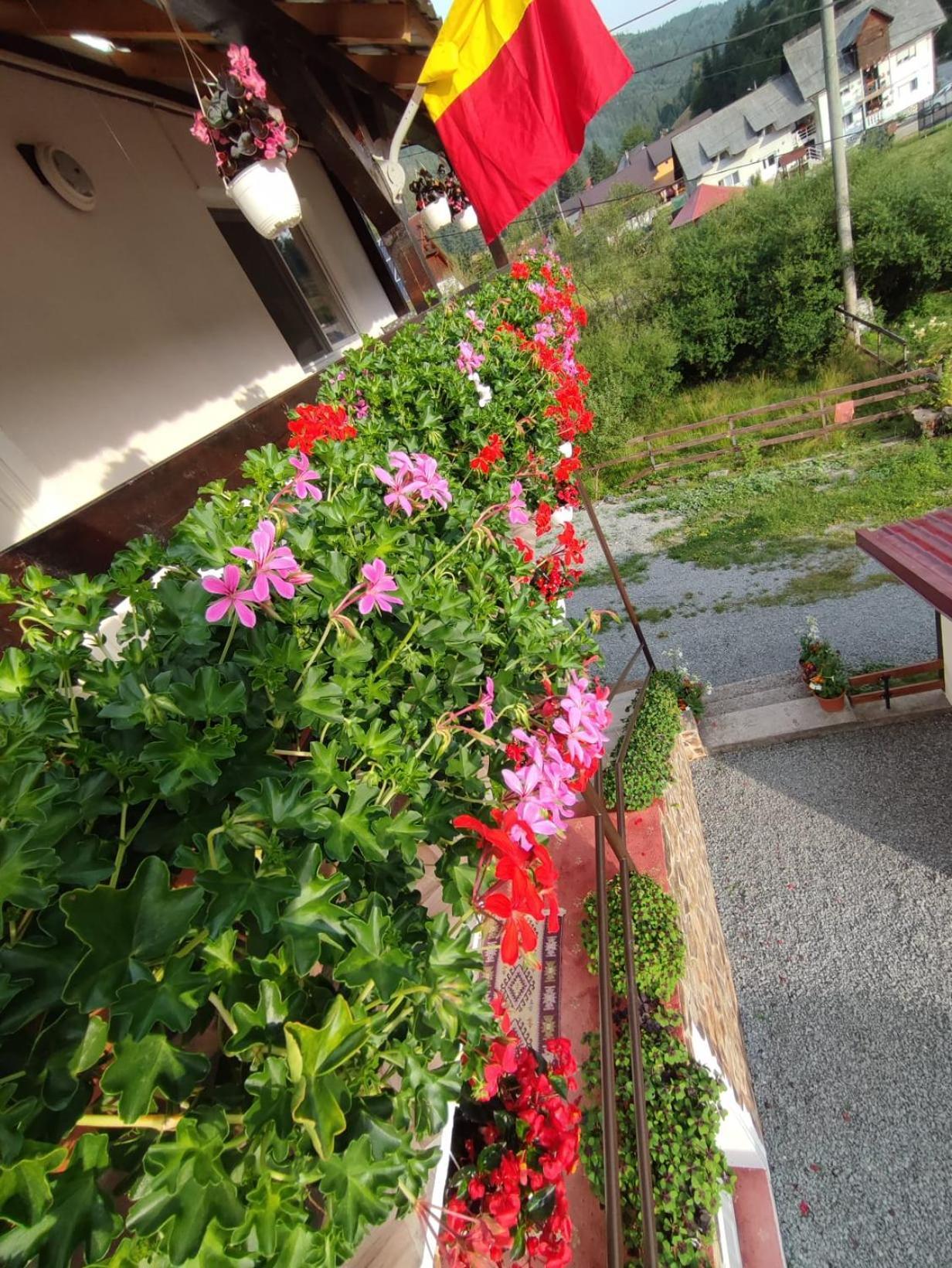 Homestay Bianca